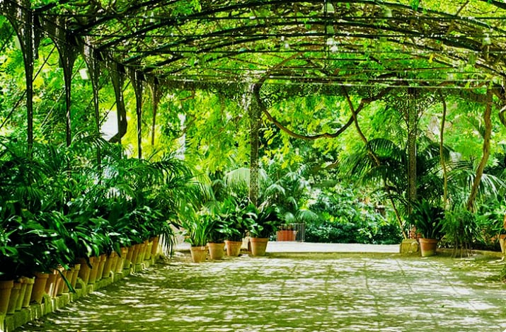 Ботанико-исторический сад Зачатия