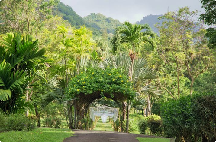 St. Vincent og Grenadinene botaniske hager