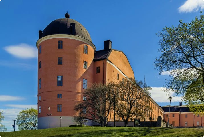 Uppsala Kalesi (Uppsala Slott)