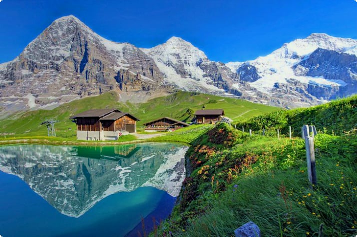 Näkymä Jungfrausta, Eigeristä ja Mönchistä Kleine Scheideggistä