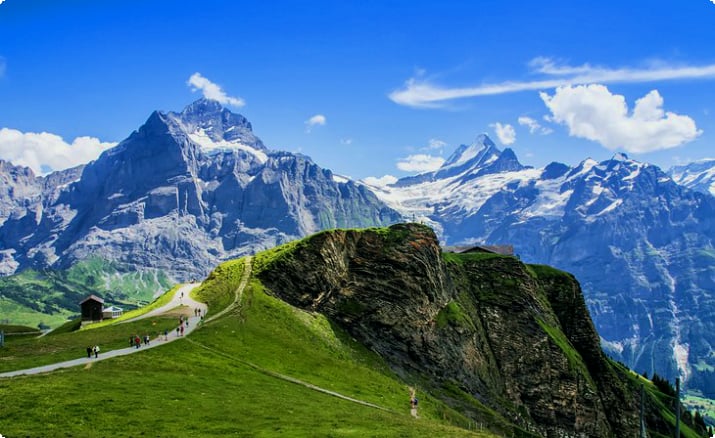 Jungfrau in de Zwitserse Alpen