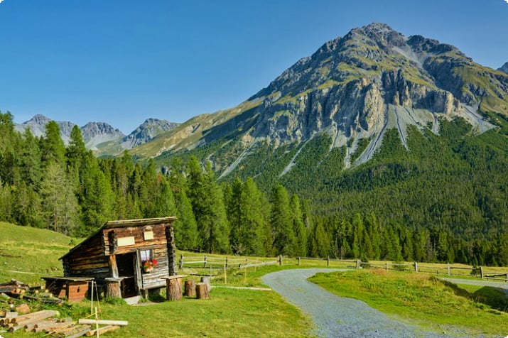 Походная тропа в Швейцарском национальном парке