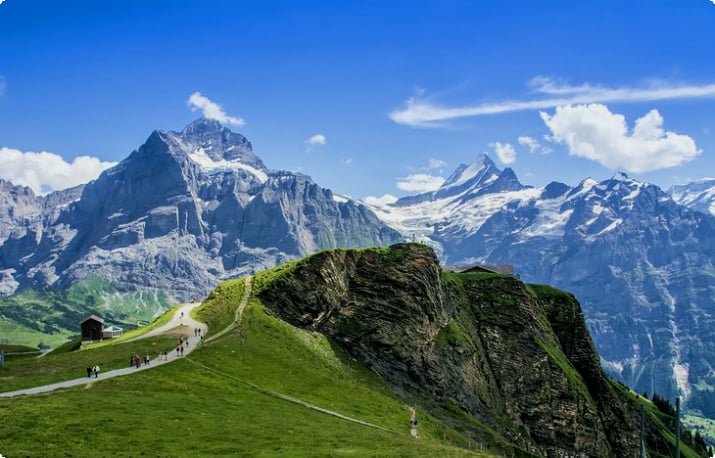 Jungfraujoch en het Berner Oberland