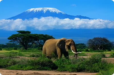 15 самых популярных туристических достопримечательностей в Танзании