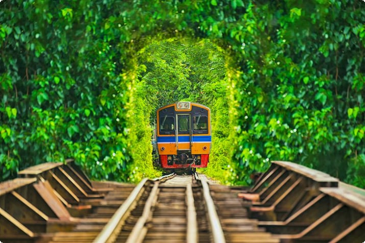 Поезд в Таиланде едет через утопающий в зелени туннель.
