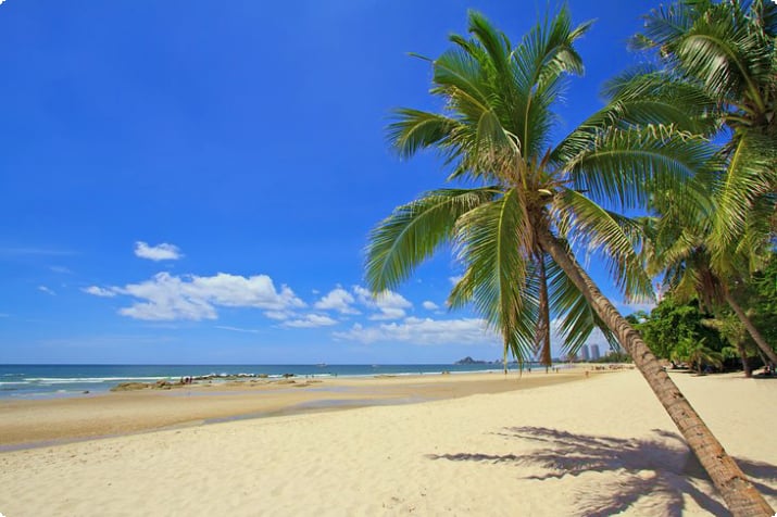 Kokospalmer på stranden ved Hua Hin