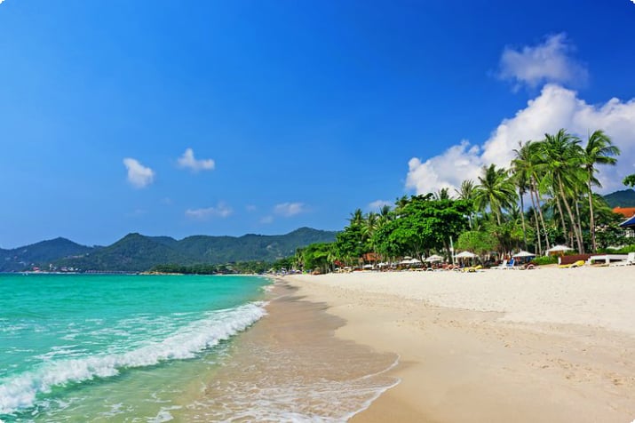 Resorts op Chaweng Beach met palmbomen