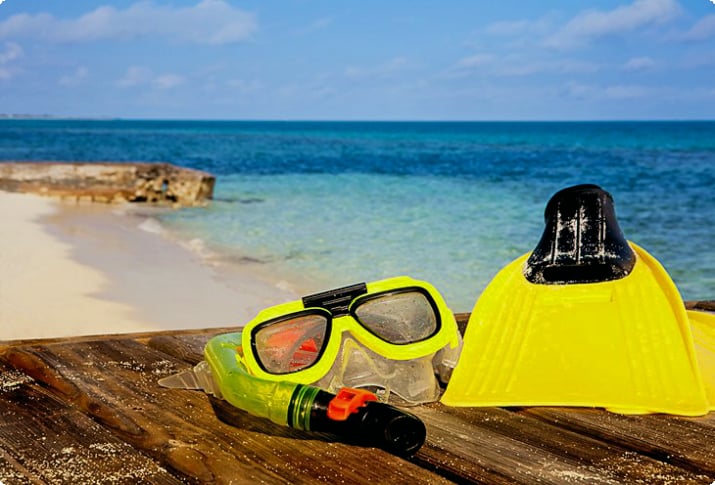 Turks ve Caicos'ta şnorkel takımı
