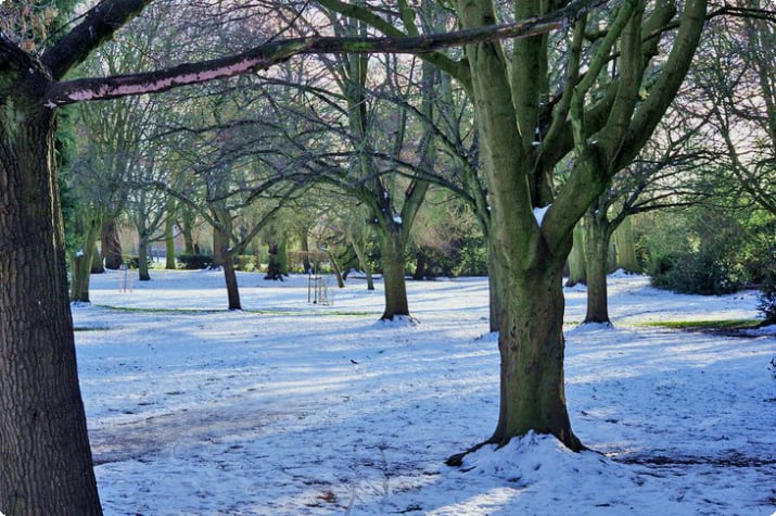 Ostpark im Winter