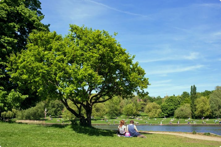 Picknick in Hampstead Heath