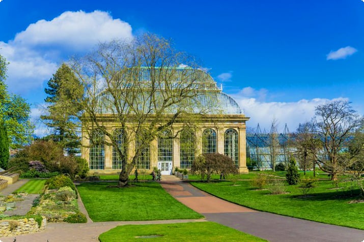 Стеклянный дом в Королевском ботаническом саду Эдинбурга