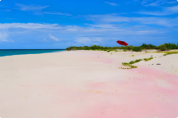 Розовый пляж на Барбуде